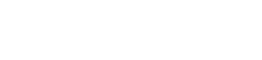 TruSec Consulting